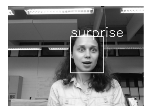 Emotion recognition visualization
