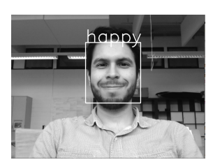 Emotion recognition visualization