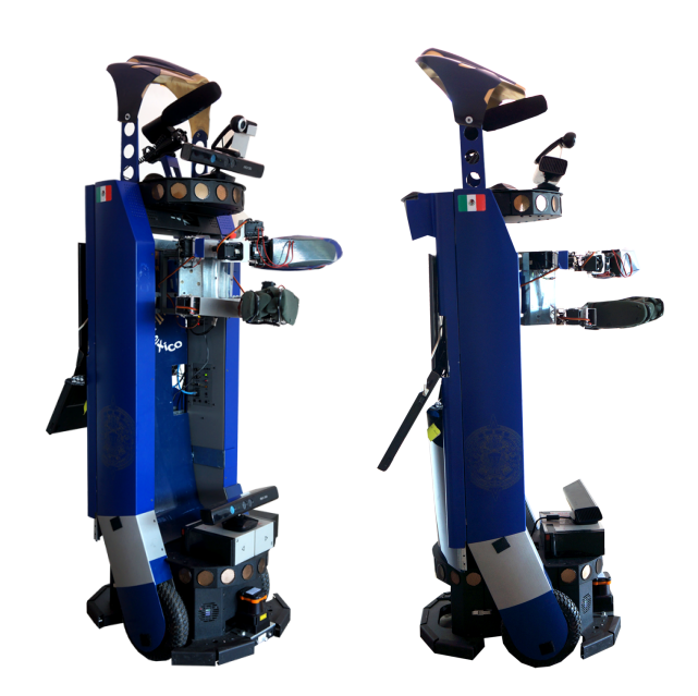 The Golem-II+ robot.