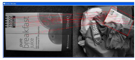 Visual identification of objects