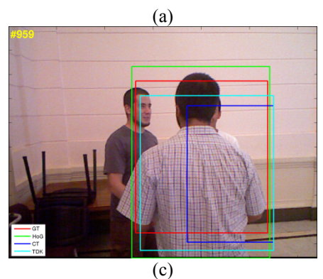 Examples of tracking sequences (continued).