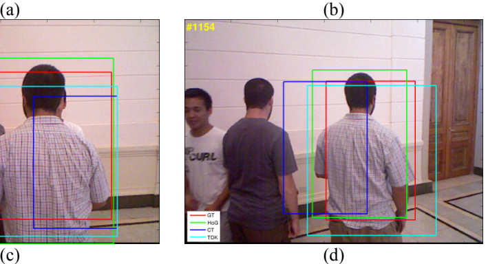 Examples of tracking sequences (continued).