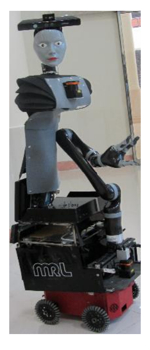 Robina with Pioneer 3-AT Platform