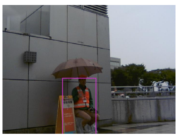 Detection of a specific person in the outdoor environment