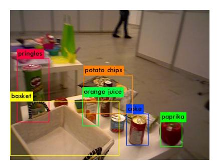 Fig. 5: Custom model trained during Robocup 2018