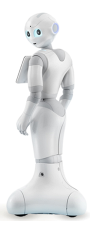 Fig. 1. Softbank Pepper Platform
