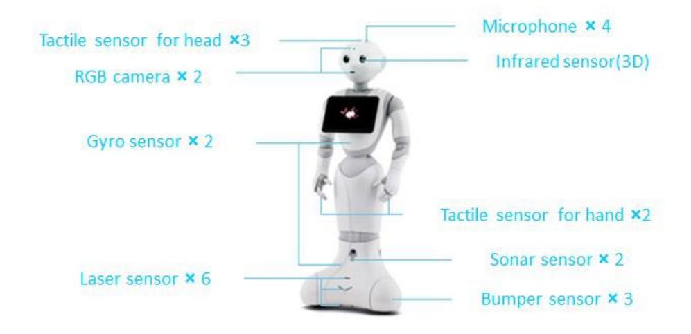 Fig. 2. Pepper robot hardware [1]