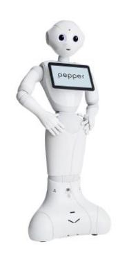 Fig. 2: Pepper Robot