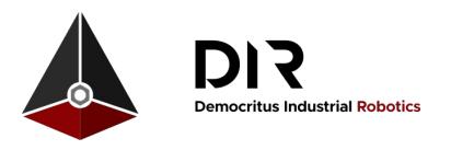 DIR's Logo
