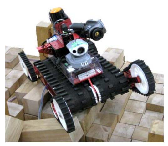 Kenaf: 6DOF Crawler Robot with Flippers
