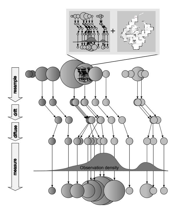 The principle of the Hyper Particle Filter: The particles of the Hyper Particle Filter are standard SLAM Particle Filters (with a map and particles that represent robot poses). For the measurement step, the quality of each map is evaluated.