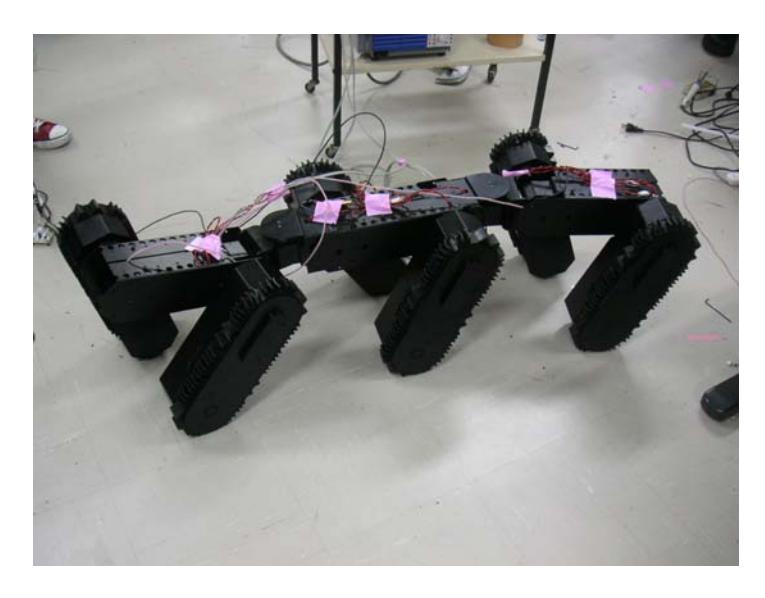 Fig. 2 KOHGA2 (3 bodies and 6 crawler arms)