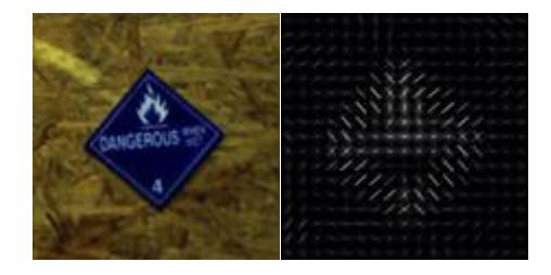 Original Image (left) and histogram of oriented gradients (right).