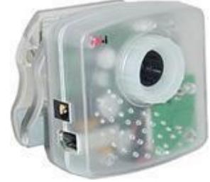 Figure 5- IEEE 1394 Fire-wire camera