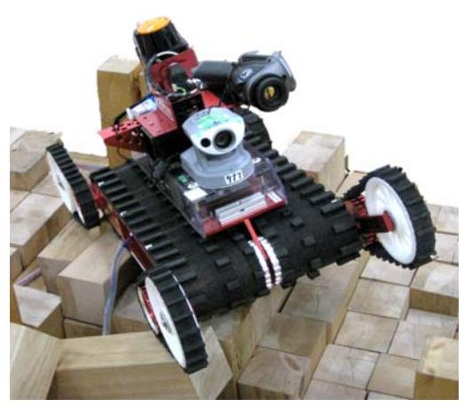 Kenaf and Quince: 6DOF Tracked Vehicle with Sub-tracks
