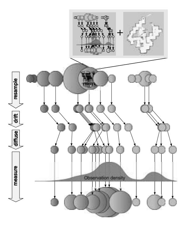 Fig. 5. The principle of the Hyper Particle Filter: The particles of the Hyper Particle Filter are standard SLAM Particle Filters (with a map and particles that represent robot poses). For the measurement step, the quality of each map is evaluated.
