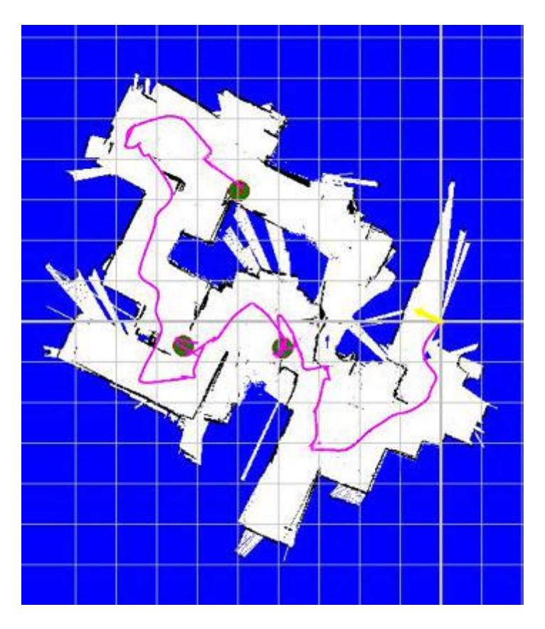 Figure 4: Automatic map generated by iRAP_PRO's software.