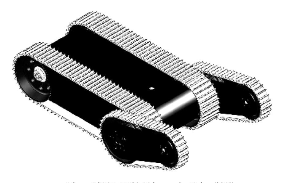 Figure 5 iRAP_PRO's Teleoperative Robot (2010).