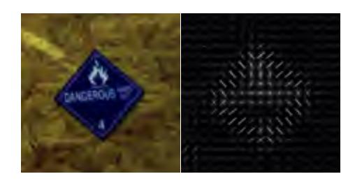 Original Image (left) and histogram of oriented gradients (right).