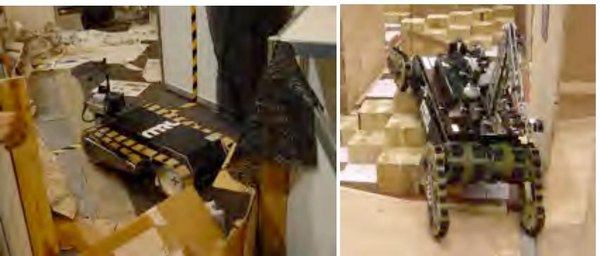 Fig. 1. NAJI-I in Japan-2005, and NAJI-IV in China-2008
