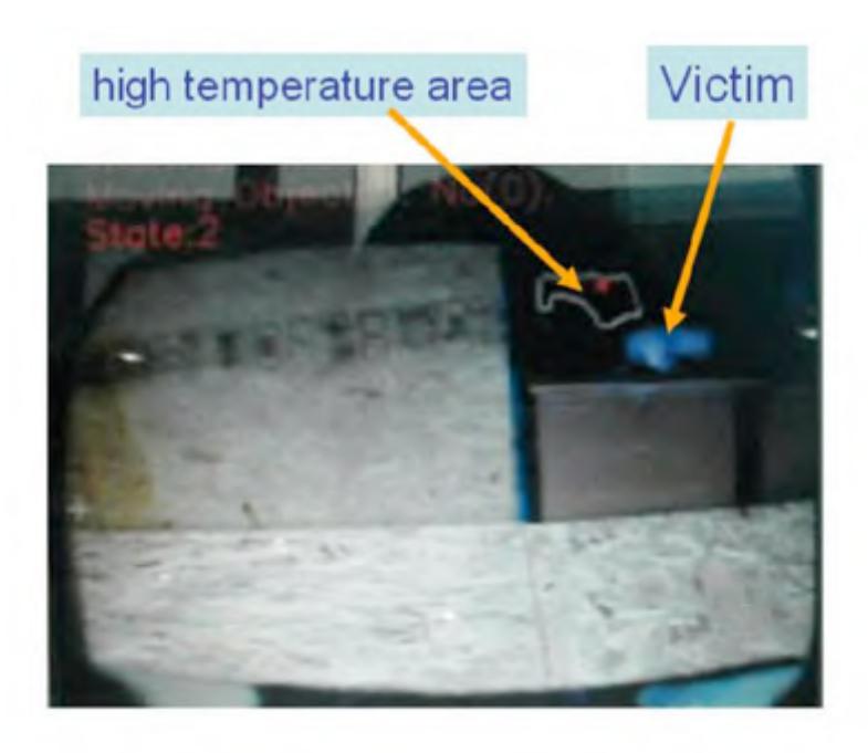 The image displayed (overlay thermal camera image to normal CCD camera image)