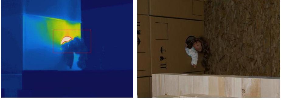 Figure 5: Infrared and RGB picture of doll detection