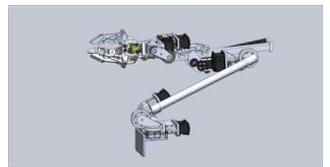 Overview of the arm