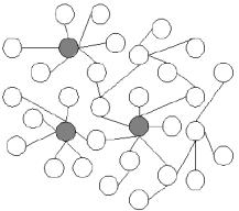Fig 1. A scale-free network (gray nodes show the hubs)