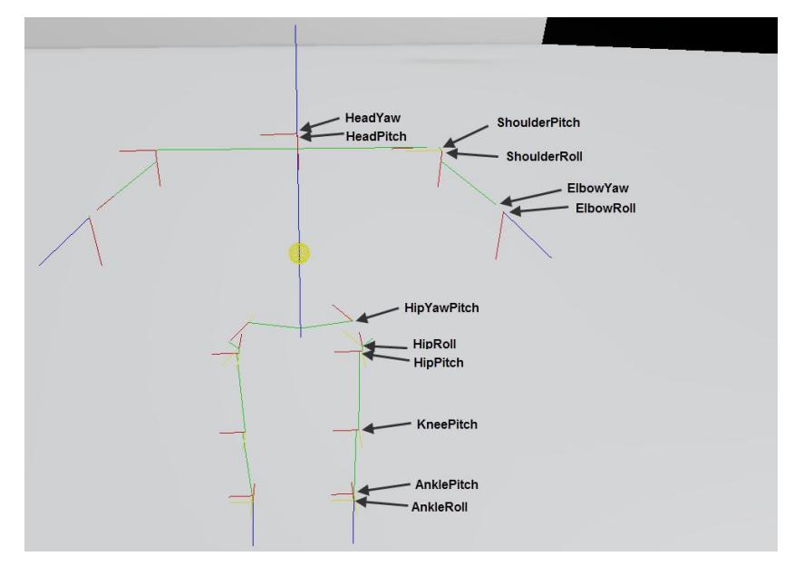 Fig. 3: Visualization of joints according to the Denavit Hartenberg convention. Red lines show the z axes, yellow the y axes and green the x axes of the joints.