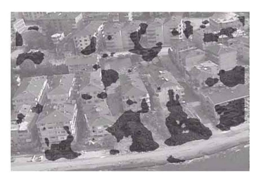 Building damage distribution obtained by the automated detection