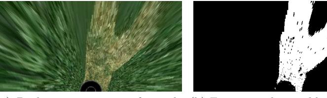 Fig. 5. Bird-eye view image from the maze and the free space detection result. (a) Bird-eye view image from the maze. (b) Free space detected by Gaussian Mixture Model classifier.