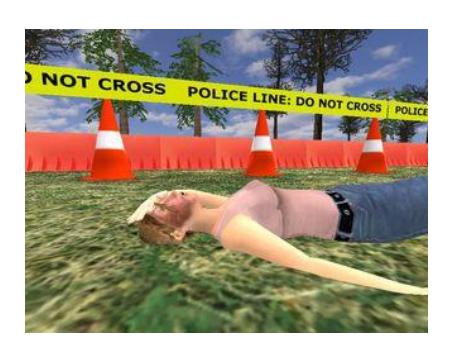 Fig. 5. a) Victim screenshot b) Victim resultant identification