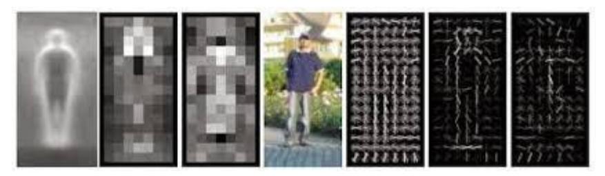 Fig. 2. HOG output for human detection [11]