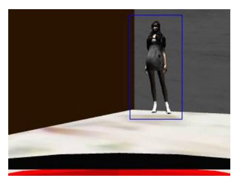 Fig. 3. Output of Echoic human detection (Victim in VRL2016)
