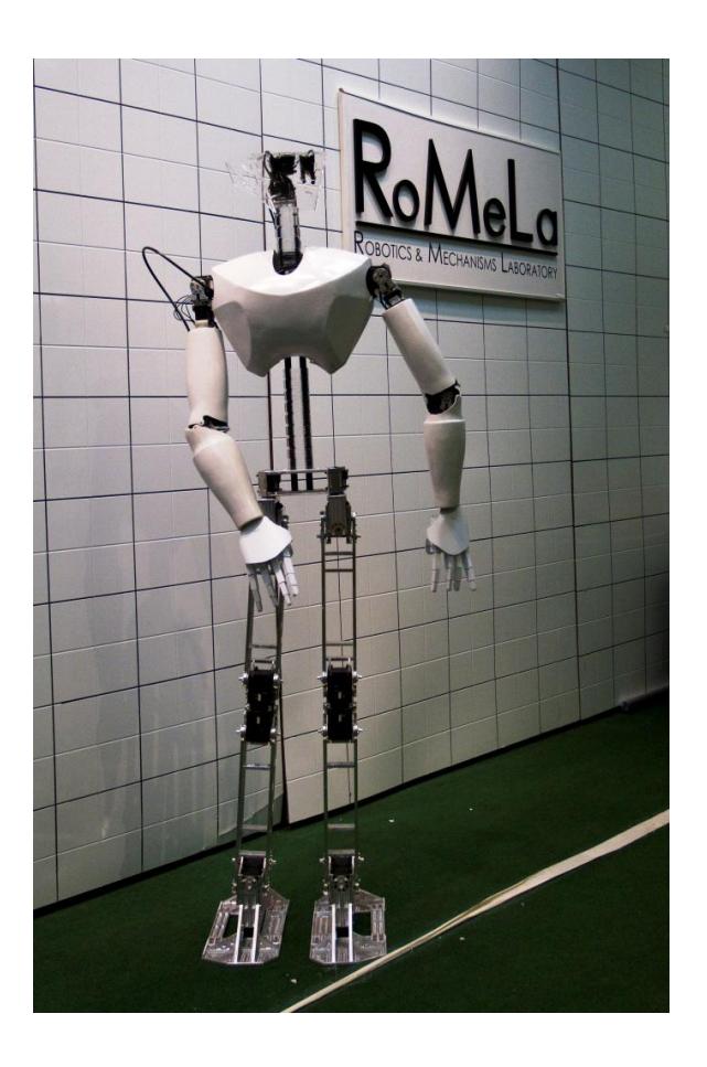 Fig. 1. CHARLI (Cognitive Humanoid Autonomous Robot with Learning Intelligence)