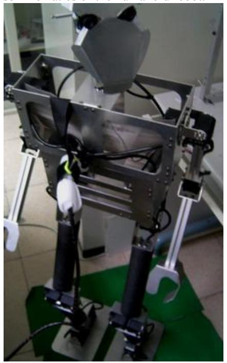 Fig. 3. The photo of designed humanoid robot.