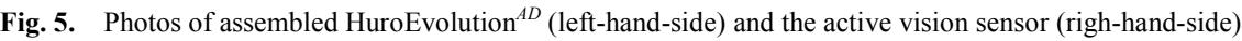 _page_2_Picture_5.jpeg