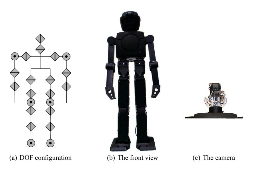 Fig. 1. Tichno-RN: (a) A schematic overview of the actuators and the configuration of the body. (b) The front view of the whole body (c) The camera mounted on the robot