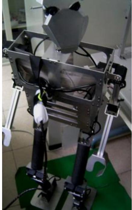 Fig. 3. The photo of designed humanoid robot.
