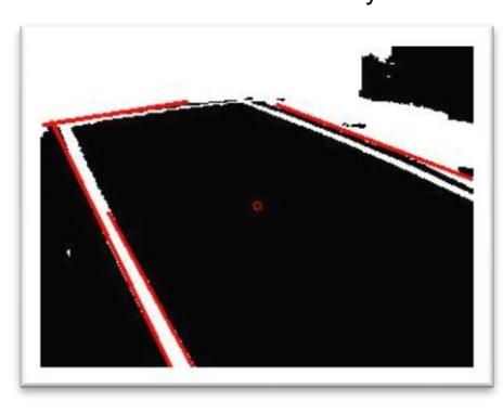 Stereo Vision System of the Robot.