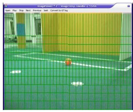 Fig. 4-1. Example of Scan Line