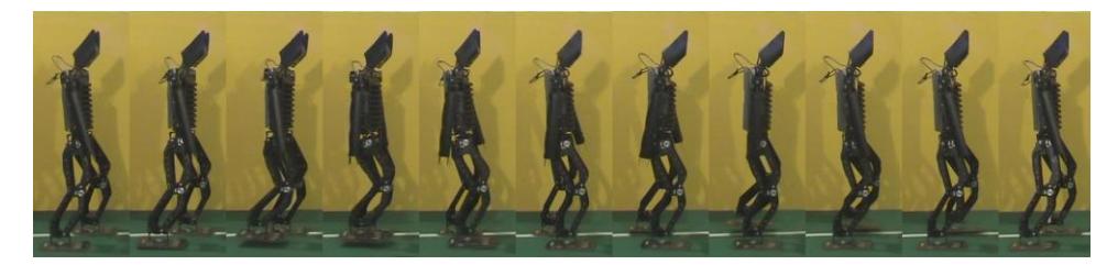 Fig. 7-1 Forward walking image sequence