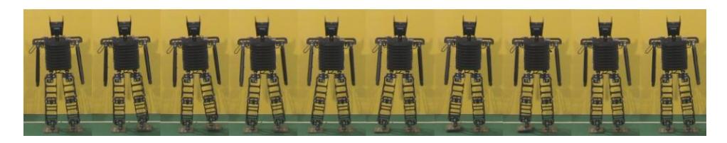 Fig. 7-2 Sideward walking image sequence