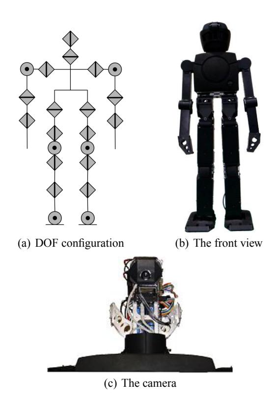 Tichno-RN: (a) A schematic overview of the actuators and the configuration of the body. (b) The front view of the whole body (c) The camera mounted on the robot