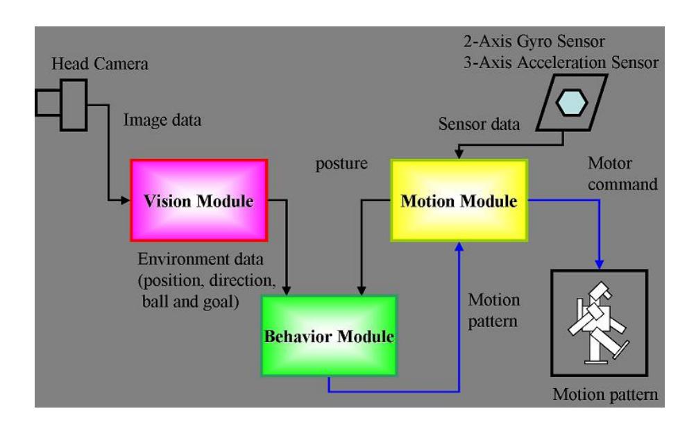 Overall system of the software: There are three modules: the vision, the behavior, and the motion modules.