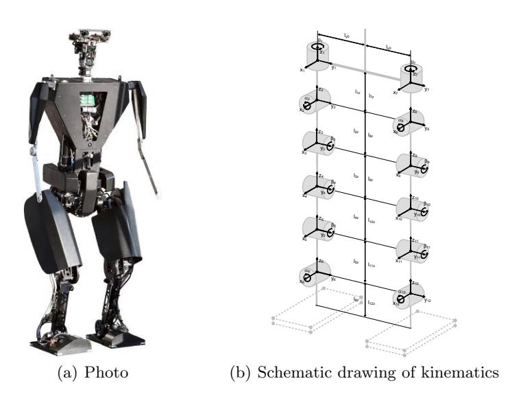 Fig. 1. Humanoid robot TUlip