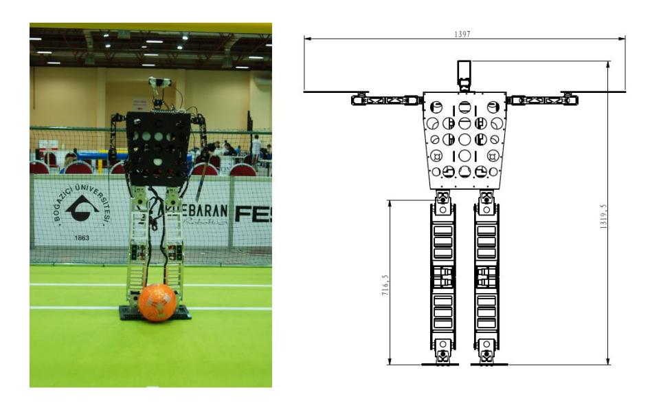 1) THU-Strider robots 2) Robot Dimension