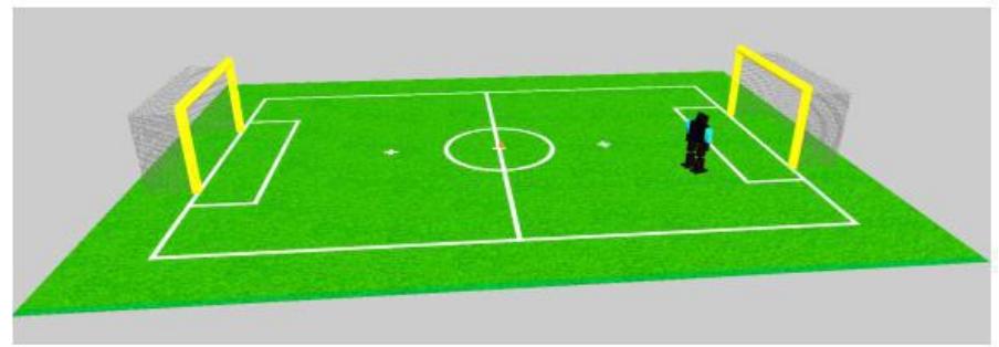 Fig. 1. Match field [1-2].