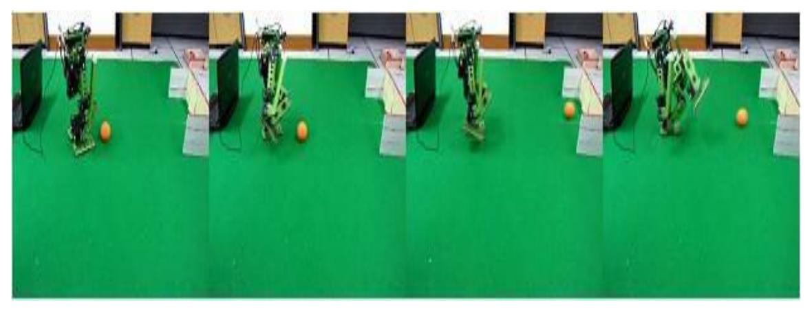 Figure.7 (Motion of Kick a Ball)