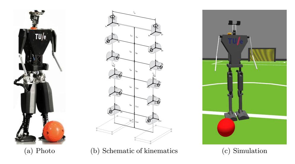 Fig. 1. Humanoid robot TUlip